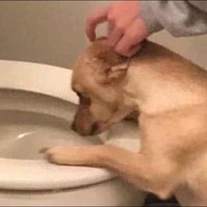 Meet your Posher, Travis